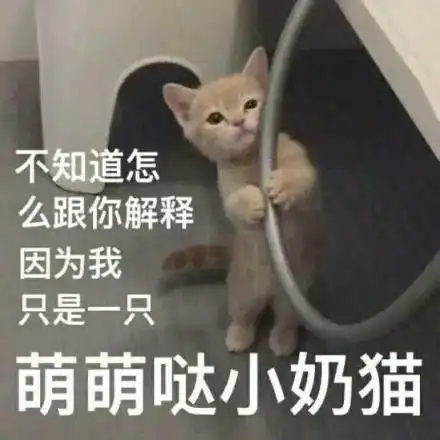 男朋友是内蒙人,第一次送的礼物是一只羊引发全国网友晒礼物,我们河南人送...
