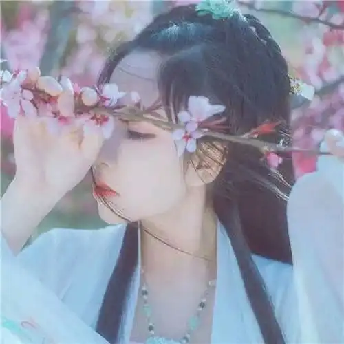 适合摘抄的古风唯美句子
