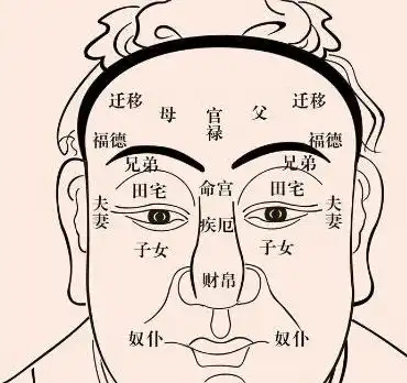 这几种面相的人最容易发财,看看有没有你
