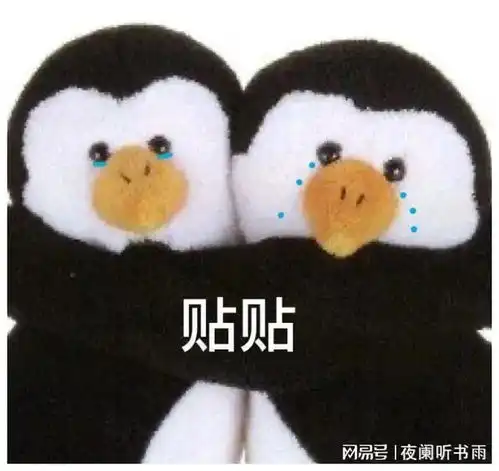 聊天必备表情包317可爱搞怪沙雕表情包
