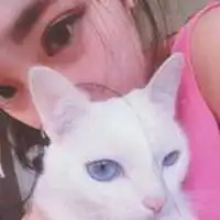 男人抱着猫的情侣头像微信头像图片大全