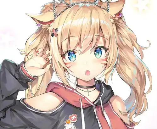 猫咪哪里的敏感度高摸猫的哪里她最舒服
