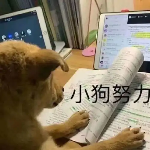 清凉一夏tips,快来get吧

