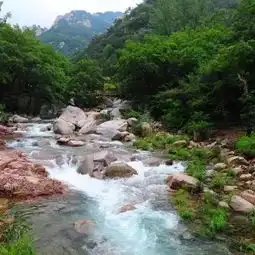 崂山那一带,一路上明朗磅礴多绮丽
