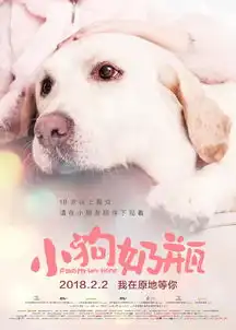 第32届金鸡奖获奖名单姚晨老公曹郁凭妖猫传获最佳摄影
