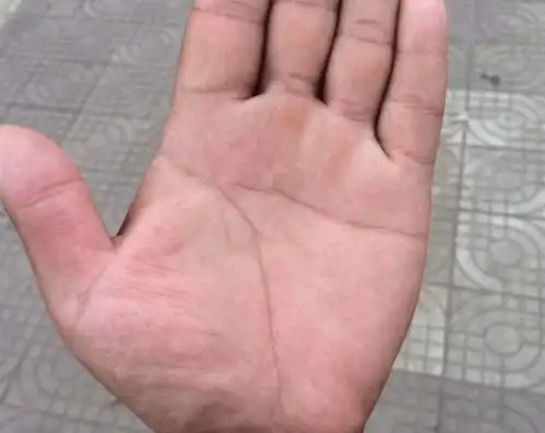 俗语男人断掌值千金,女人断掌值一文,说的是啥意思
