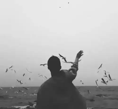 人穷了,连亲人都瞧不起你
