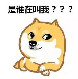 合肥单身率高达63.01你妈今天逼你相亲了吗
