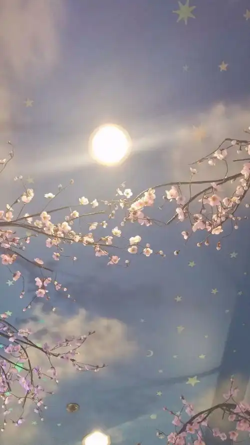 2.13小头像壁纸
