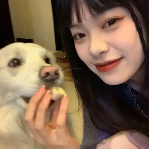 干净治愈的日落文案
