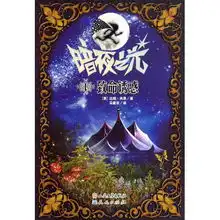 致命诱惑暗夜之光
