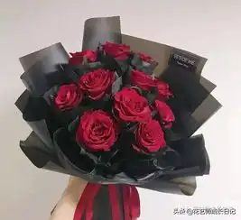 传奇玫瑰唯一有绒毛厚花瓣的红玫瑰,情人节表白的必备花材