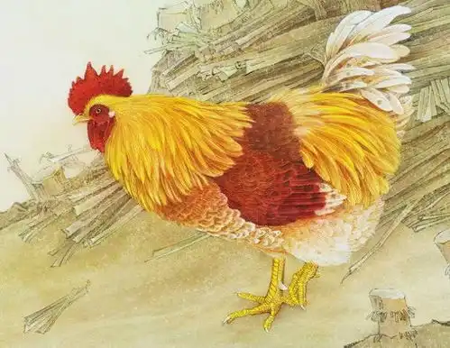 儿女双全,旺夫旺子,最有福气的3属相女,有你吗
