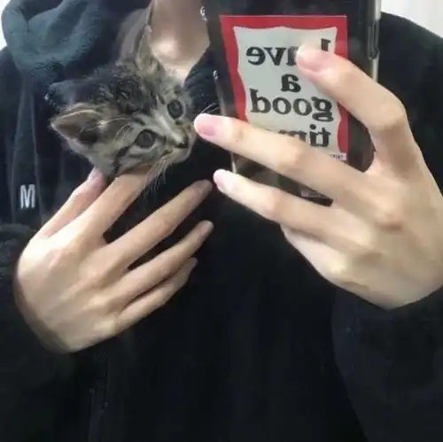抱猫系列男头
