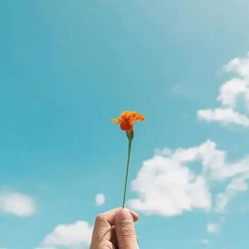 致自己努力上进的正能量句子,句句励志
