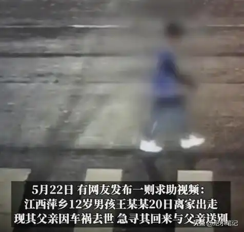 12岁男孩挨打后离家出走,找回时父亲因车祸去世两小时,母亲改嫁

