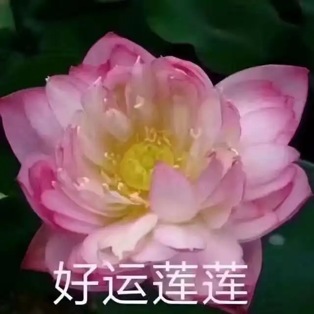 第一份工作在武汉的辅导机构怎么样