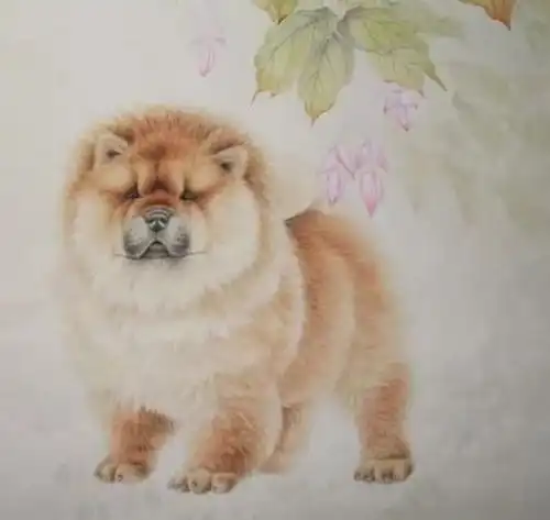 属狗人在什么时候最倒霉提前预知,趋吉避凶
