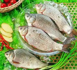 鱼身上这个部位万万不能吃比砒霜还毒,几乎吃一个倒下一个
