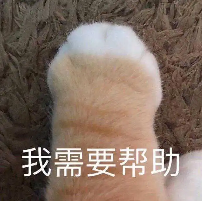 10条关于朋友圈名媛拼团的沙雕文案,一起来拼单啊
