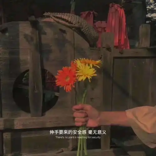 林浣文字背景图愿喜
