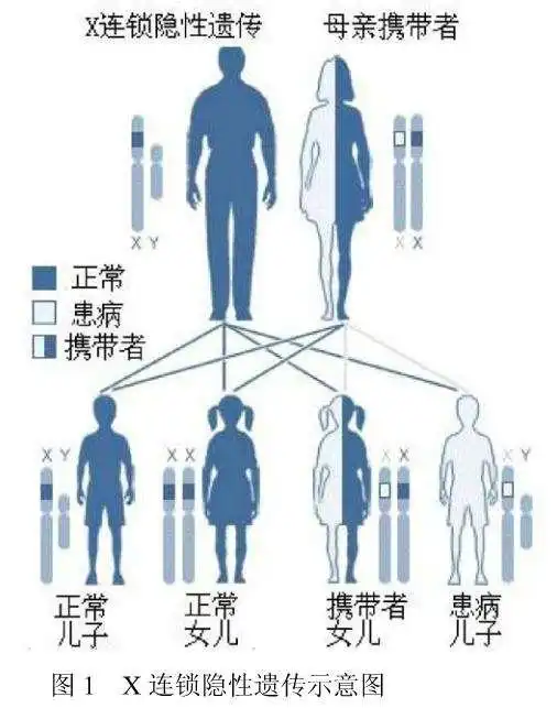 每3500个男婴就有一个她3个孩子都得这种罕见病
