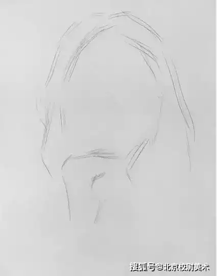 校尉美术多角度女青年素描头像步骤示范图解
