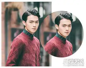这个男士发型,叫什么名字
