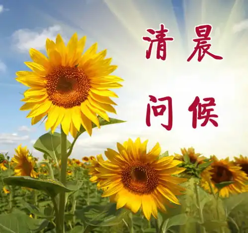 2017年7月6日,看淡自我,心态决定生活的质量美好的一天从早安心语开始

