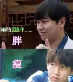 男星胖vs瘦,男神与屌丝的区别,网友一胖毁所有定律真香
