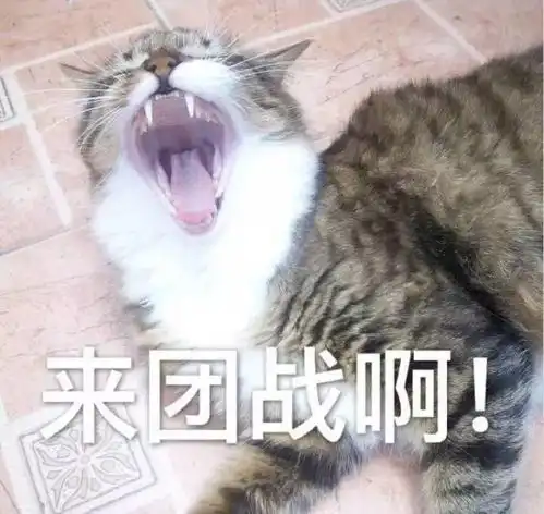 论那个女大学生和王者荣耀的关系
