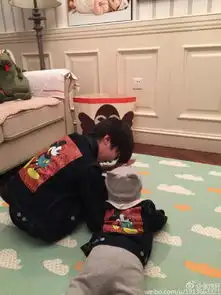 天天微博不小心晒出了新搬的家,诺一的家被赞最接地气