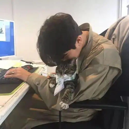 抖音100张微信个性头像
