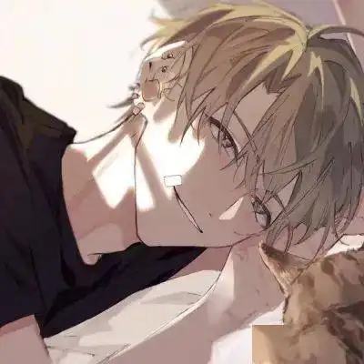 头像谐音梗句子
