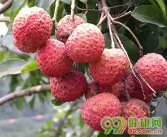 夏季巧吃水果治男性障碍2
