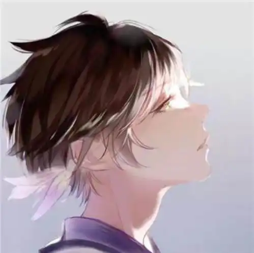 有没有不露脸或者侧脸的动漫头像啊,求
