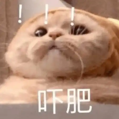 恋爱中的男生觉悟有多高哈哈哈是开挂了吧
