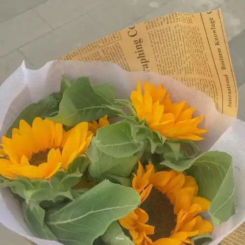 席缈捧一束花给我吧,祝我永远恣意
