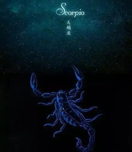 自考能力最强星座居然是它
