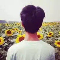 男孩向日葵头像图片微信头像图片大全
