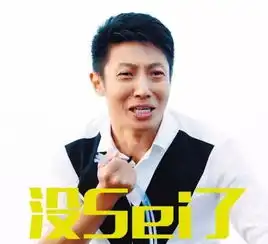 撒贝宁领证结婚撒贝宁了不起的挑战段子手
