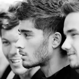 求zayn的这张高清图
