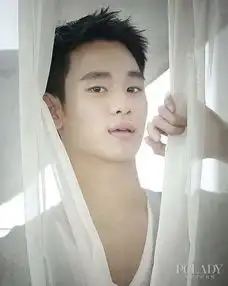 吴亦凡金秀贤exo鹿晗tfboys中韩小鲜肉男神大pk
