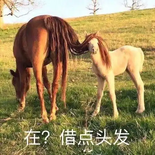 春节自救指南过年遇到奇葩亲戚怎么办盘他
