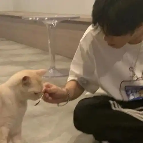 女孩子也抗拒不了的优质男头

