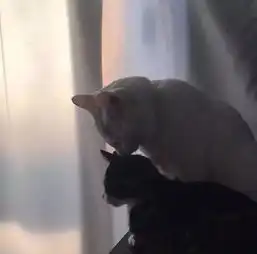 朋友圈背景图往往都是事情改变人,人却改变不了事情奇特
