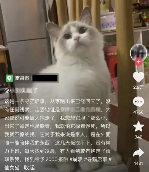 广西男子求爱不得,故意丢弃女生的猫骗同情细节曝光...
