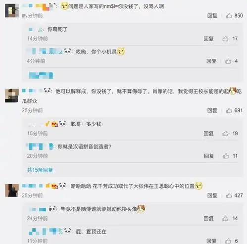 王思聪用微博头像骂人被网警警告,评论区炸了,全是亮点

