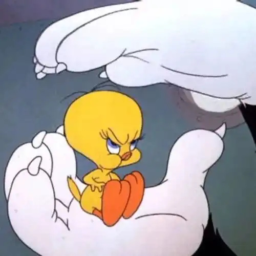 圣诞情头pat.1
