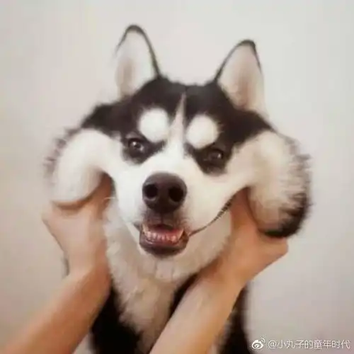 男生宿舍发生过哪些惊为天人之事
